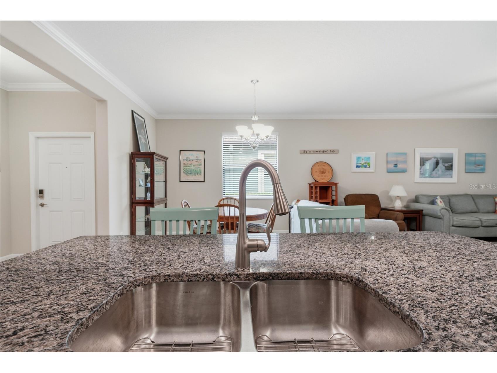 16952 Balance Cove Land O Lakes FL 34638 TB8518398 image15