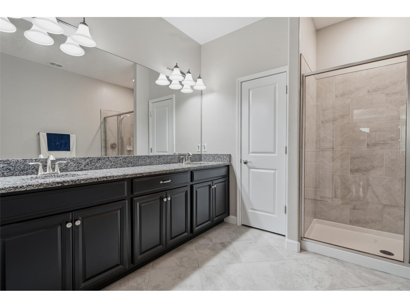16952 Balance Cove Land O Lakes FL 34638 TB8518398 image23