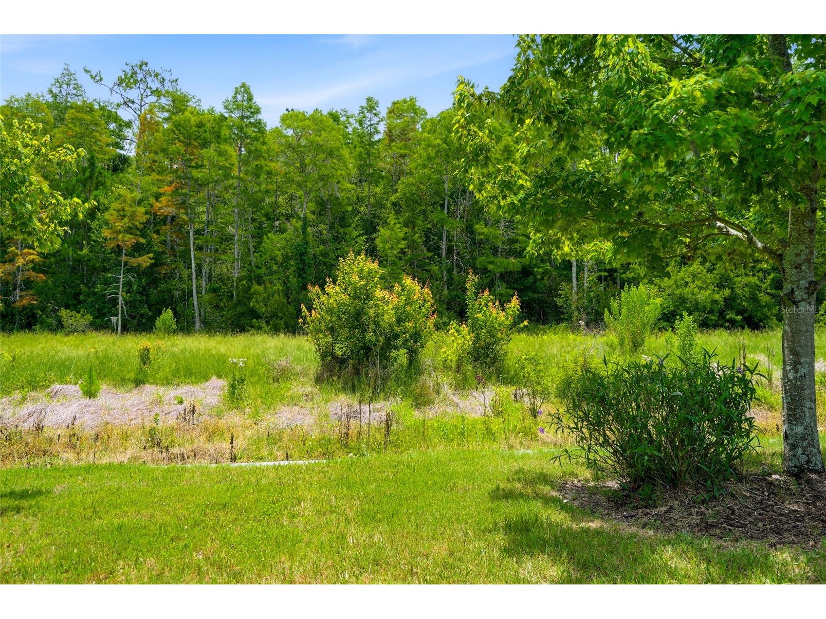 16952 Balance Cove Land O Lakes FL 34638 TB8518398 image27