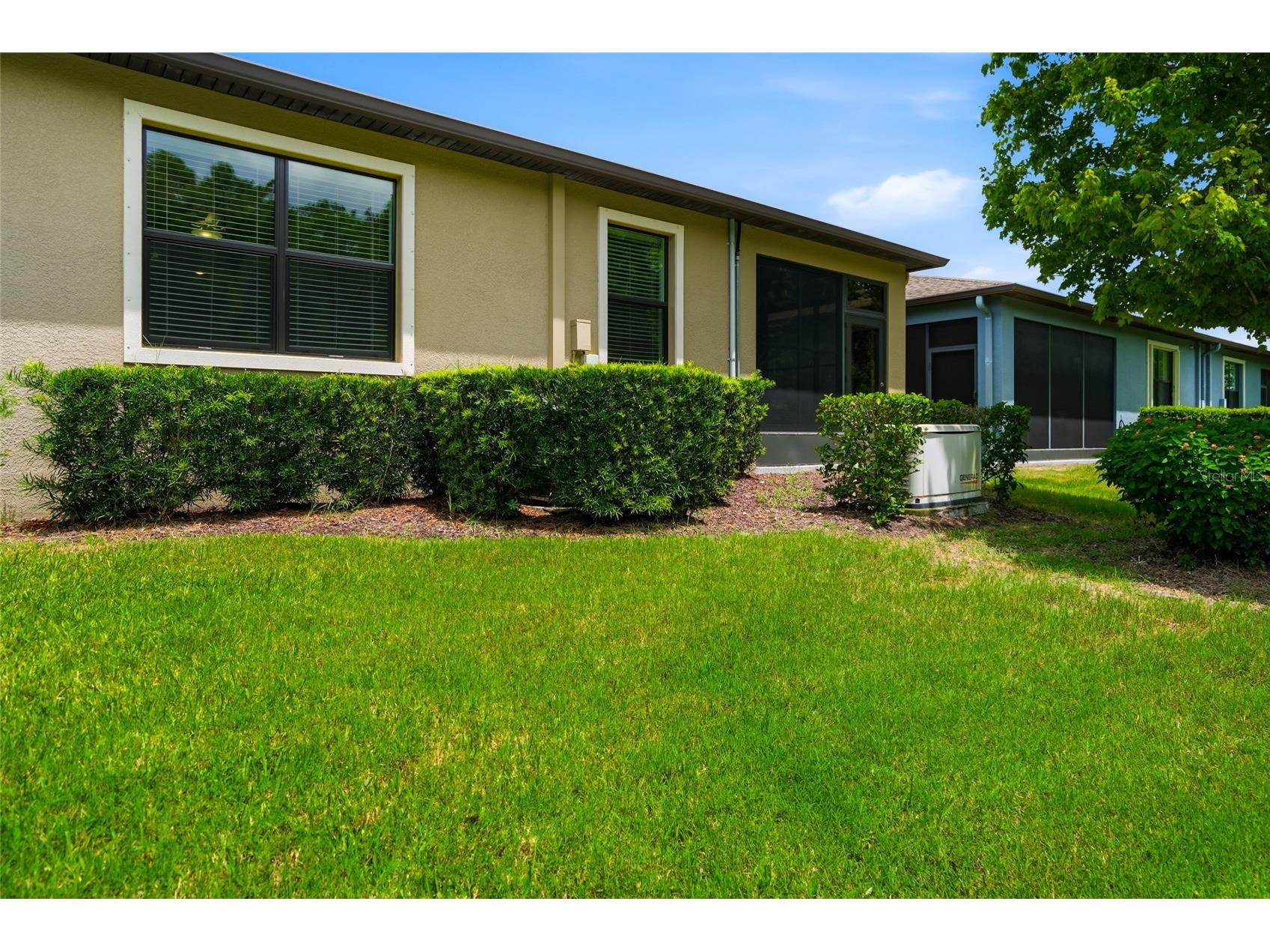 16952 Balance Cove Land O Lakes FL 34638 TB8518398 image28