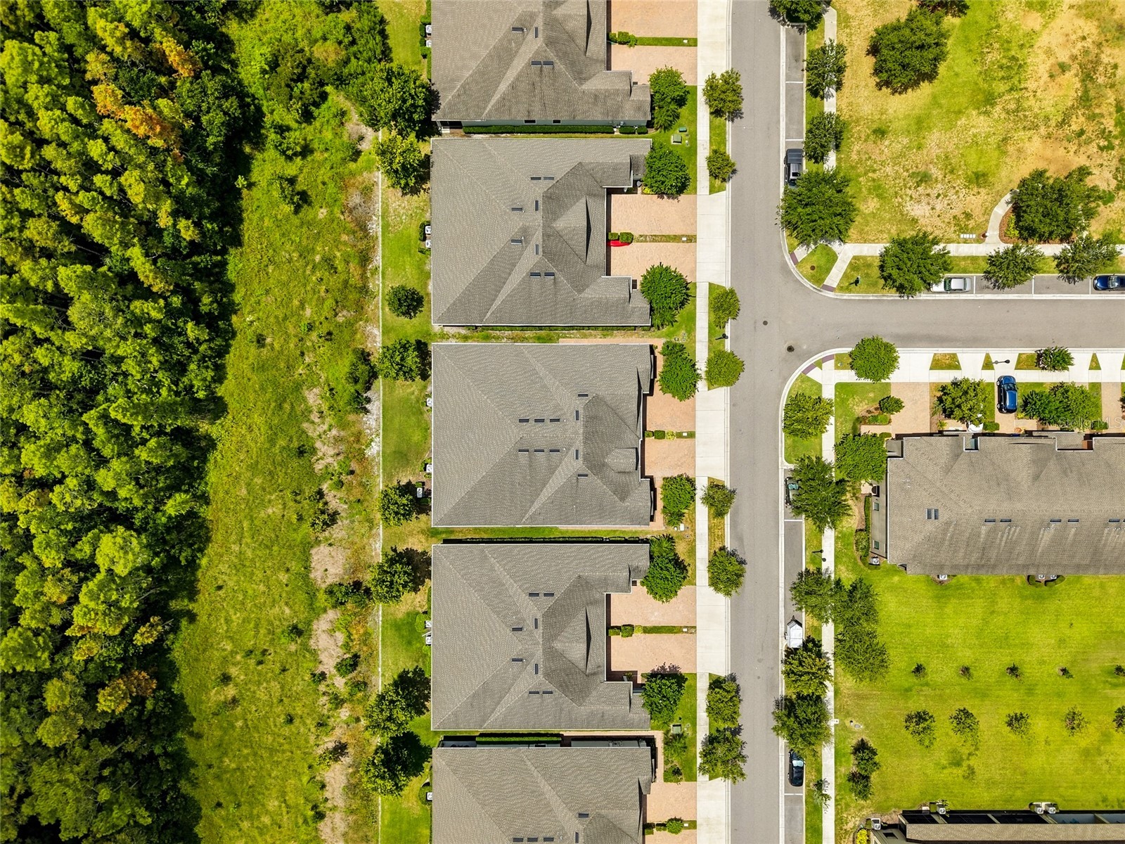 16952 Balance Cove Land O Lakes FL 34638 TB8518398 image29