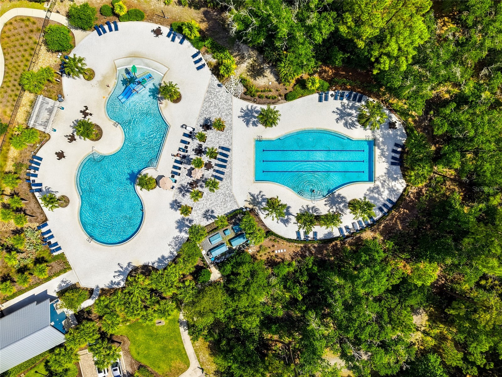 16952 Balance Cove Land O Lakes FL 34638 TB8518398 image35