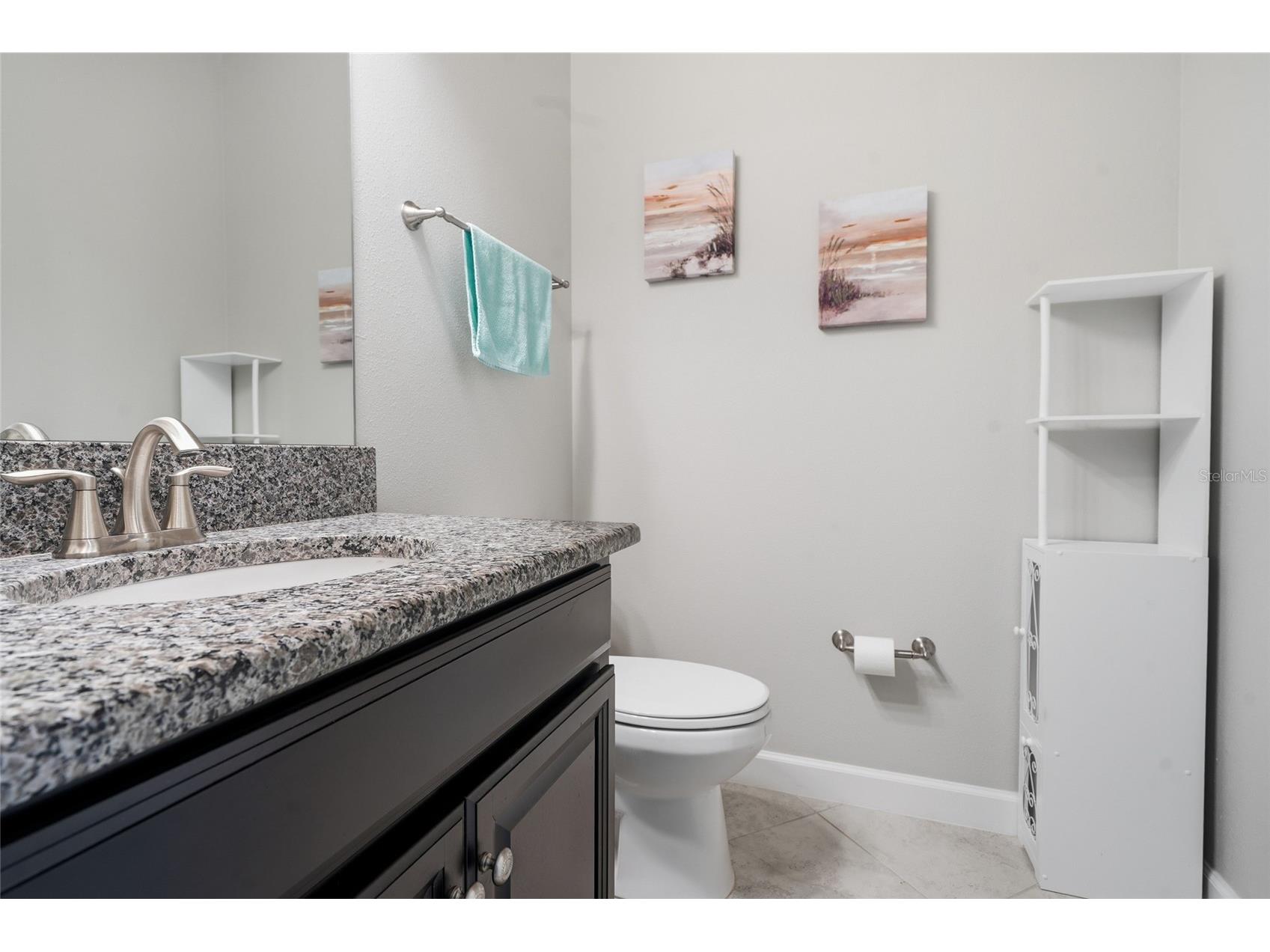 16952 Balance Cove Land O Lakes FL 34638 TB8518398 image7