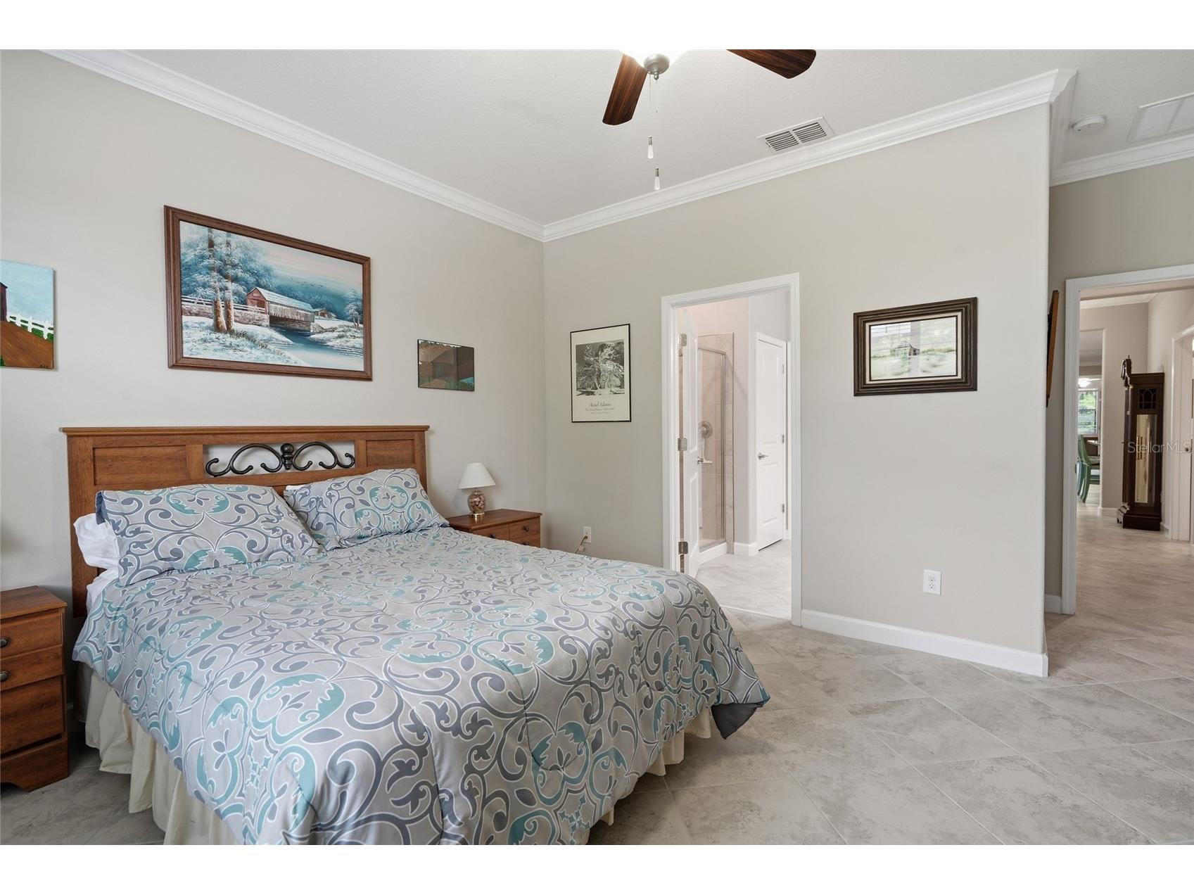 16952 Balance Cove Land O Lakes FL 34638 TB8518398 image9