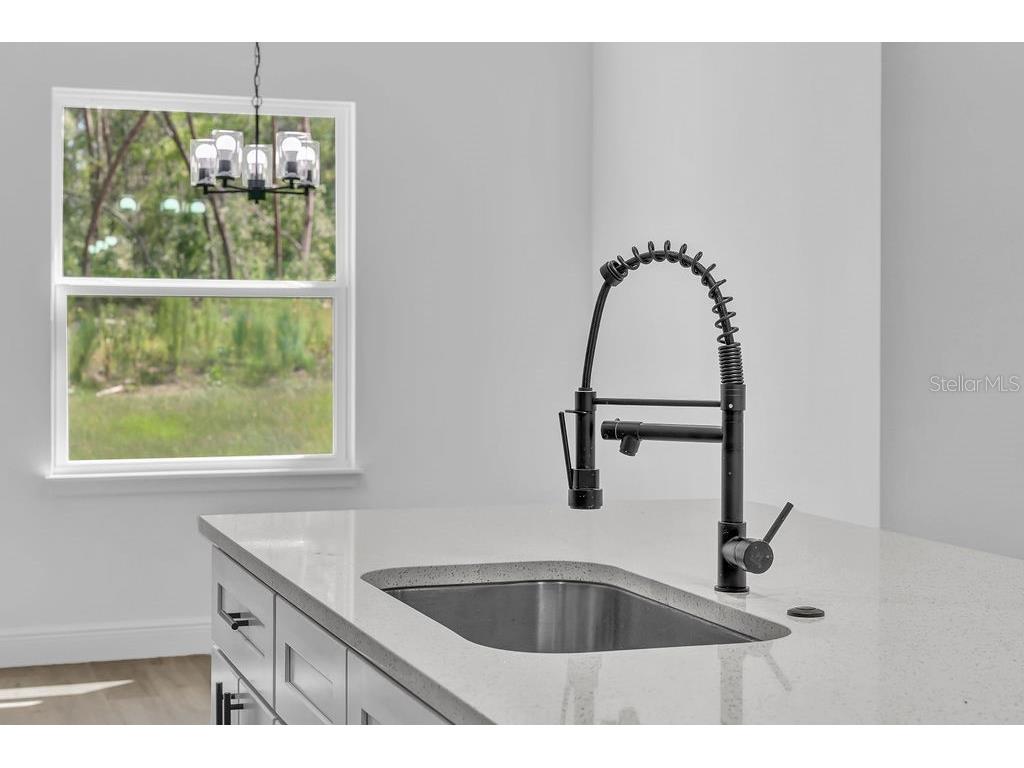 16954 SW 39th Circle Ocala FL 34473 O6341490 image10