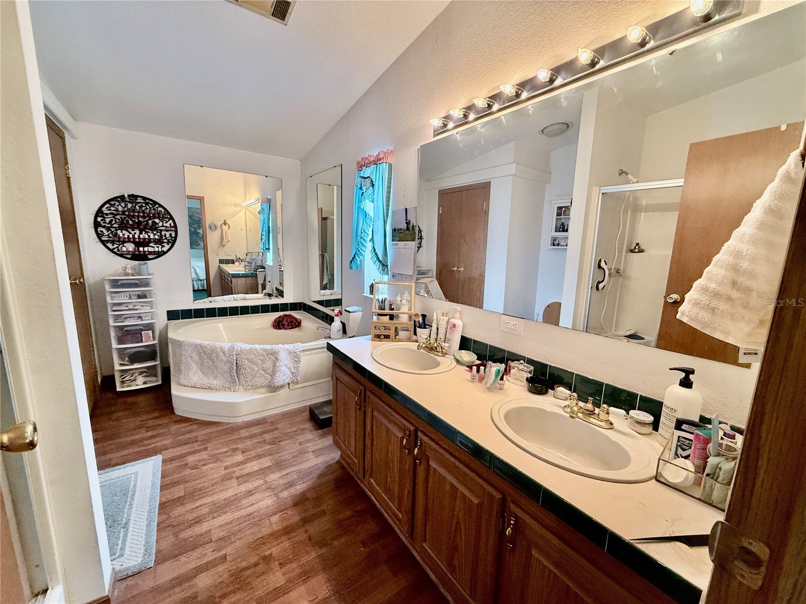 16955 SE 249th Terrace Umatilla FL 32784 G5113575 image12