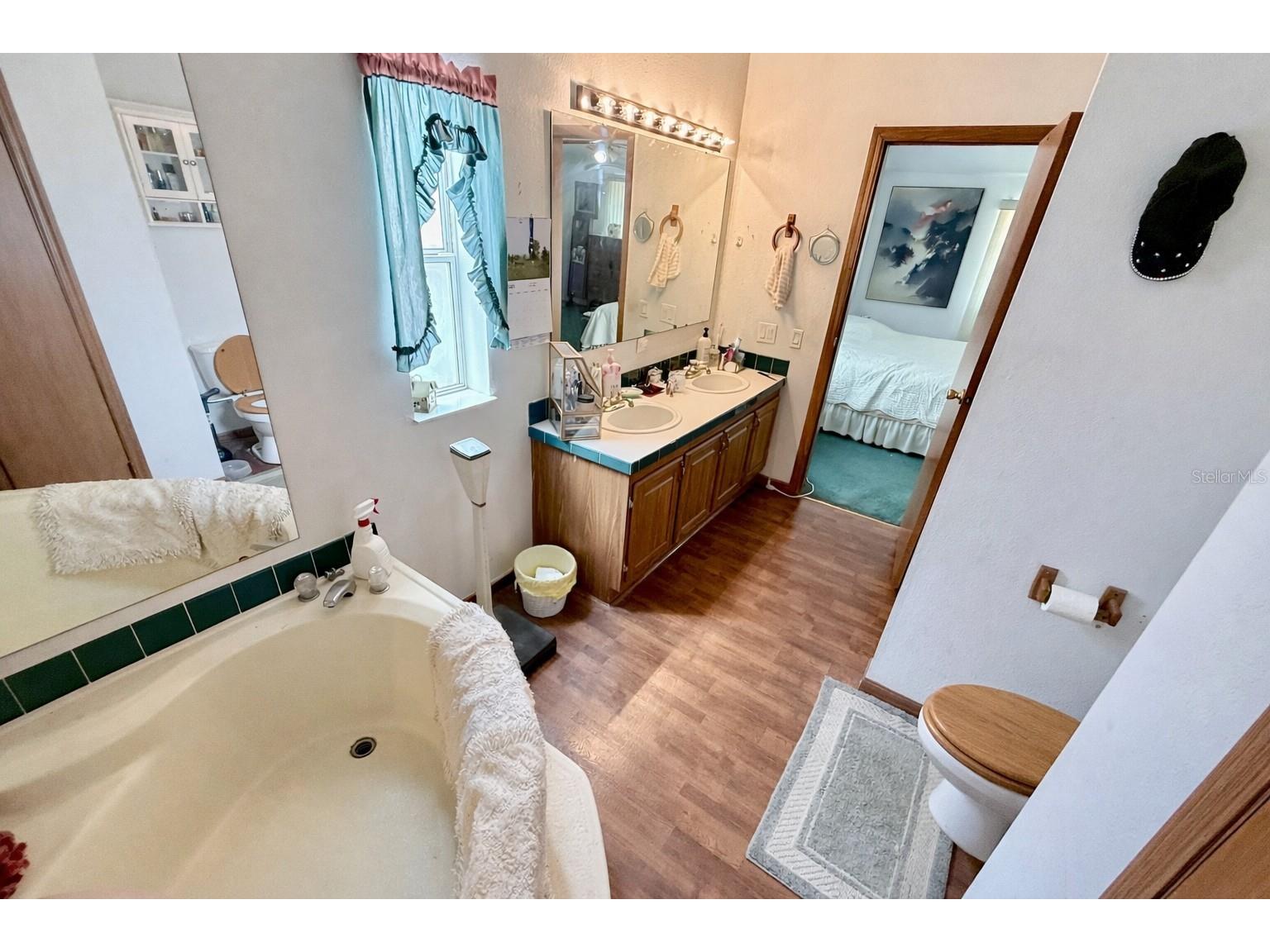 16955 SE 249th Terrace Umatilla FL 32784 G5113575 image13