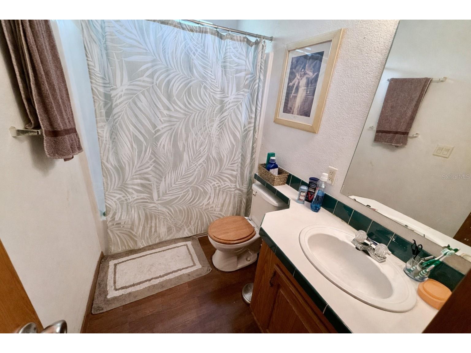16955 SE 249th Terrace Umatilla FL 32784 G5113575 image16