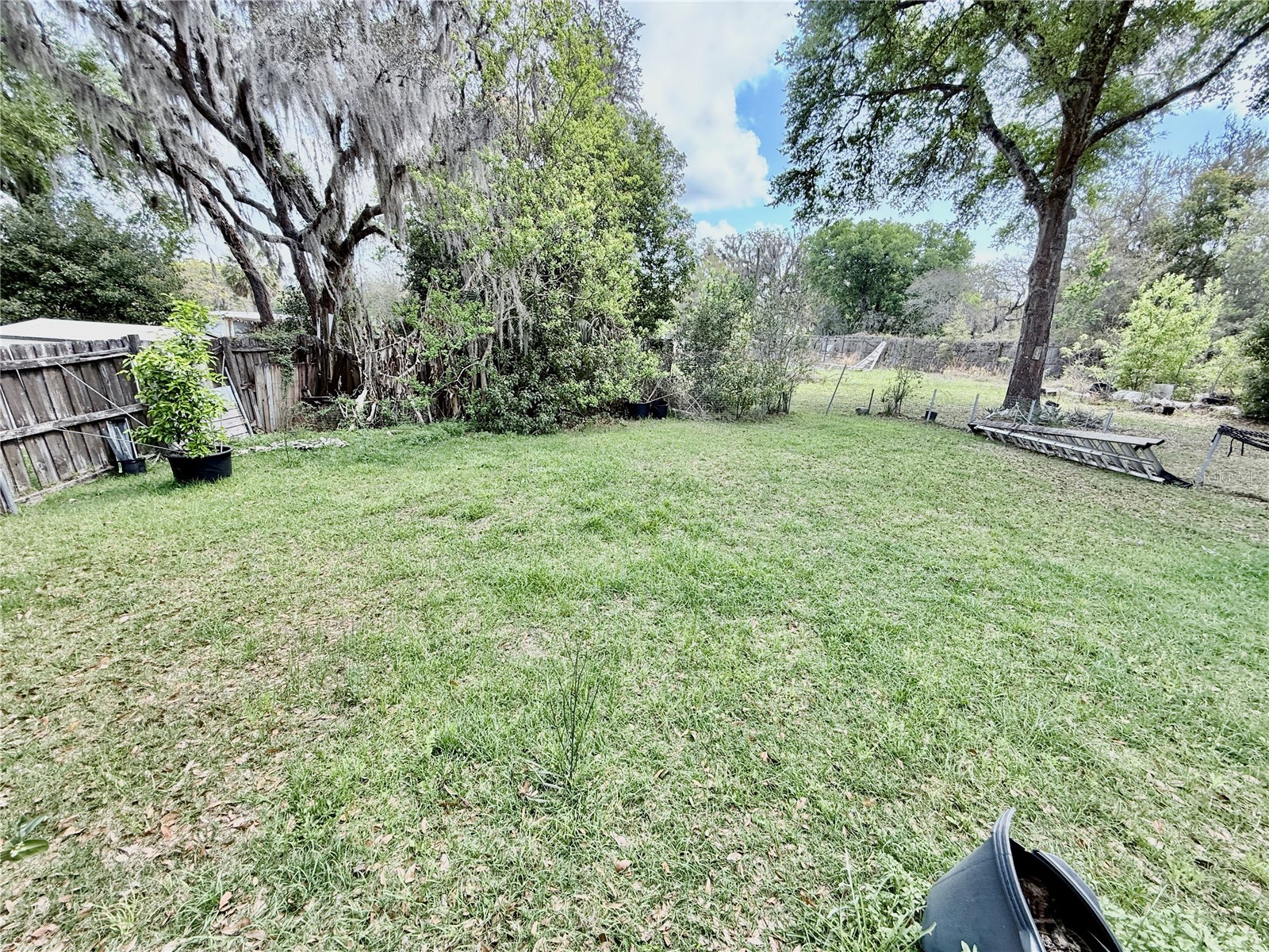16955 SE 249th Terrace Umatilla FL 32784 G5113575 image25