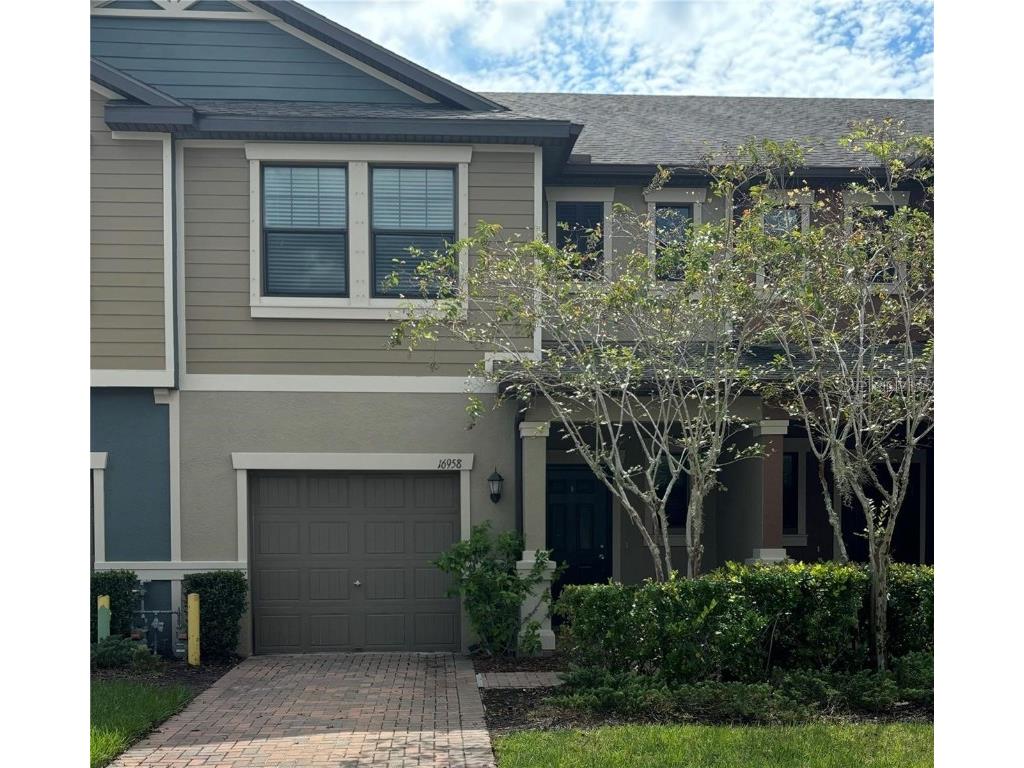 16958 Storyline Drive Land O Lakes FL 34638 TB8434267 image1