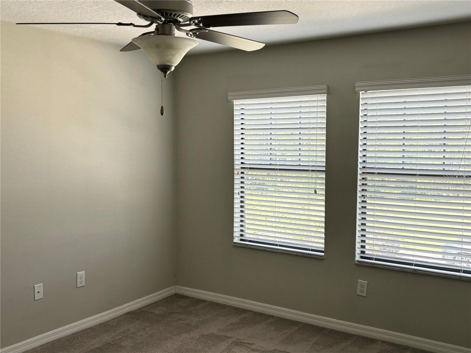 16958 Storyline Drive Land O Lakes FL 34638 TB8507575 image7