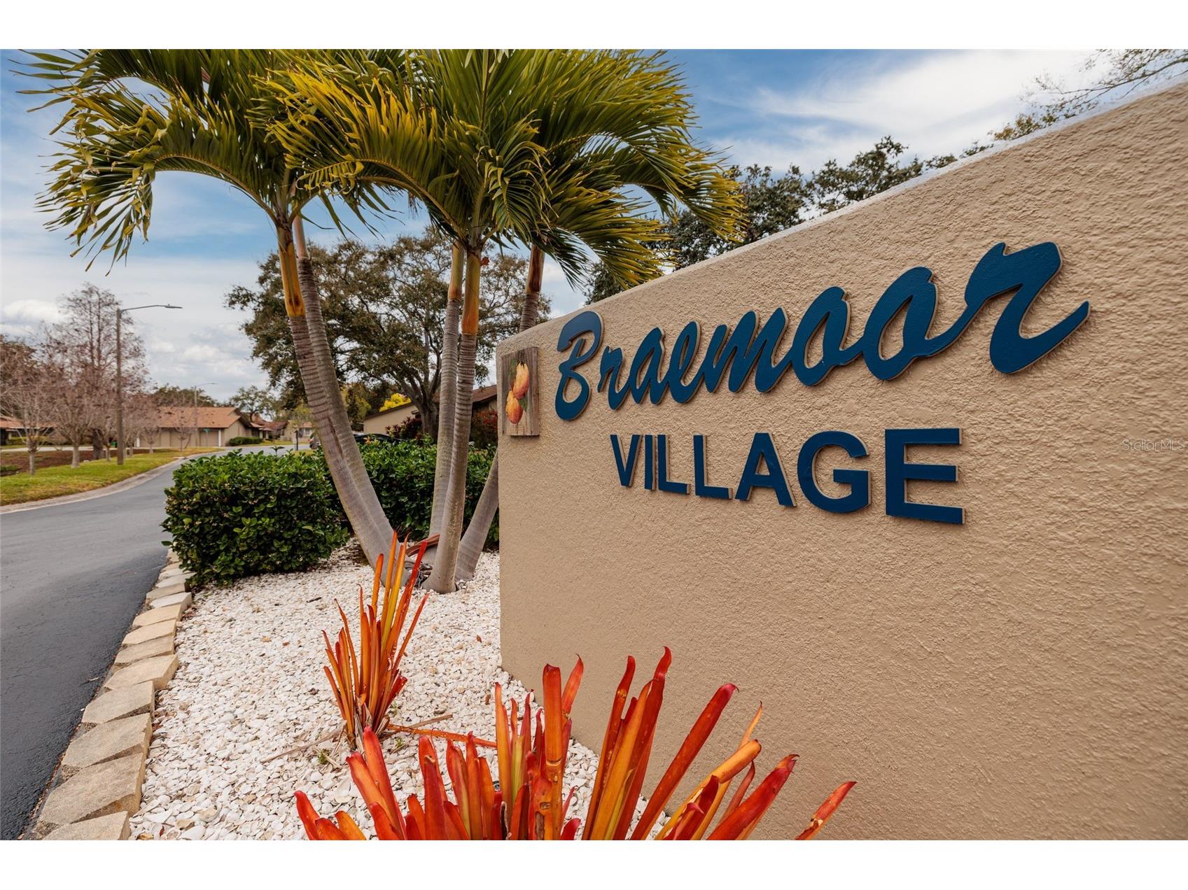 1696 Fry Court Dunedin FL 34698 TB8470049 image30