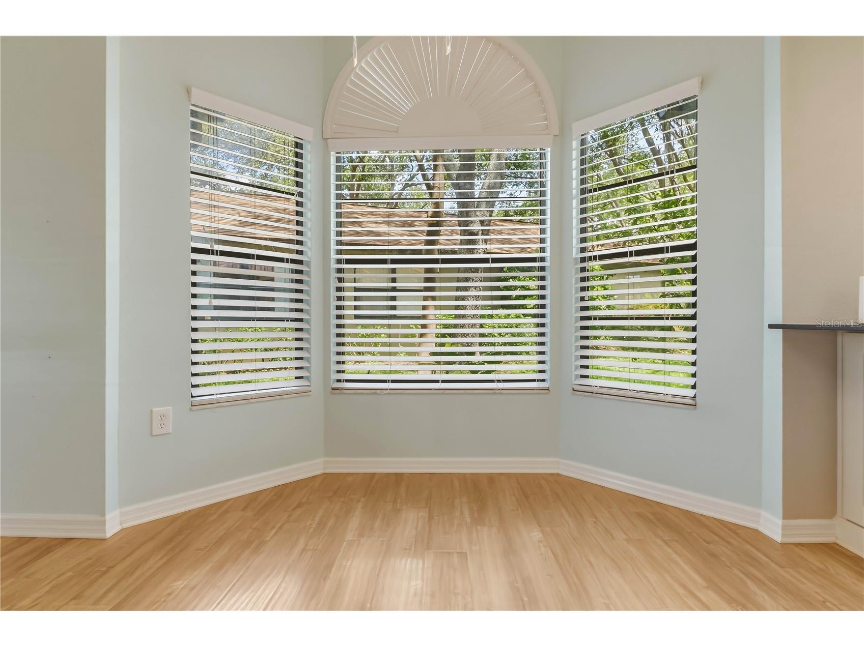 1696 Nash Court Dunedin FL 34698 TB8505427 image13