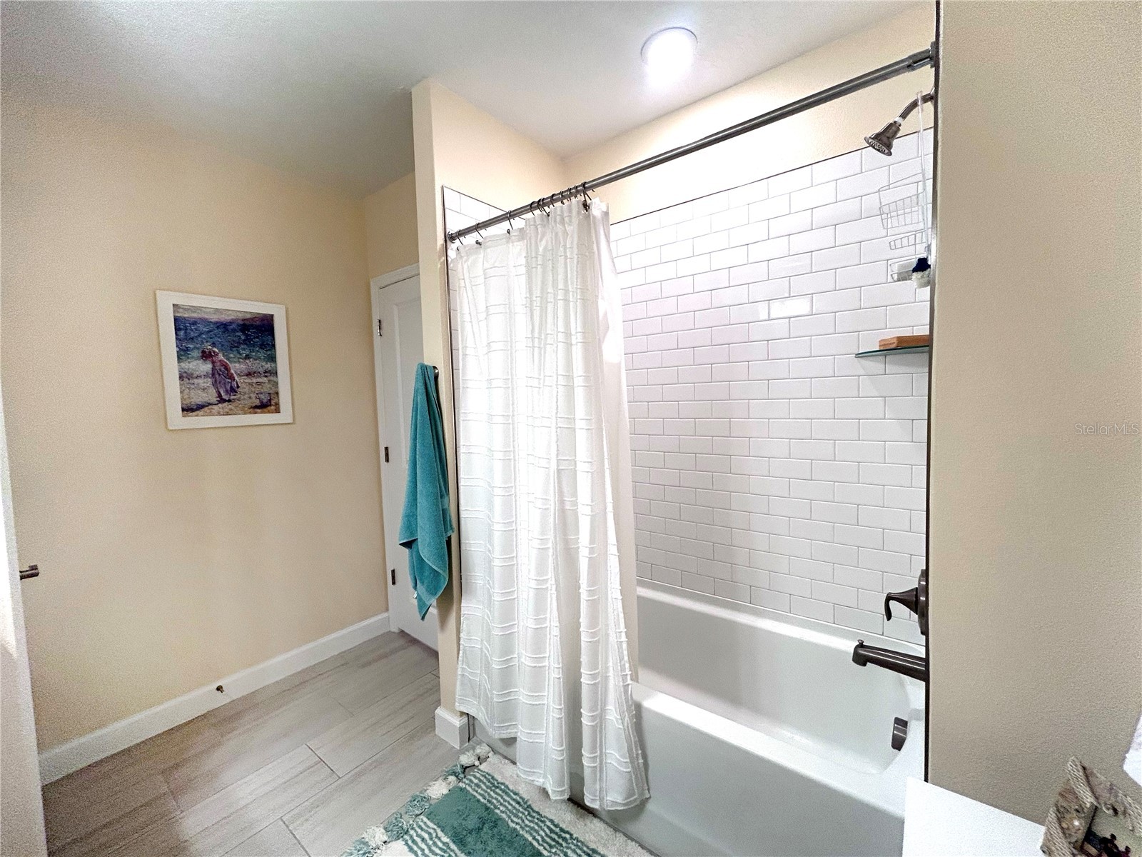 16964 Forge Surf Street Land O Lakes FL 34638 TB8492653 image12