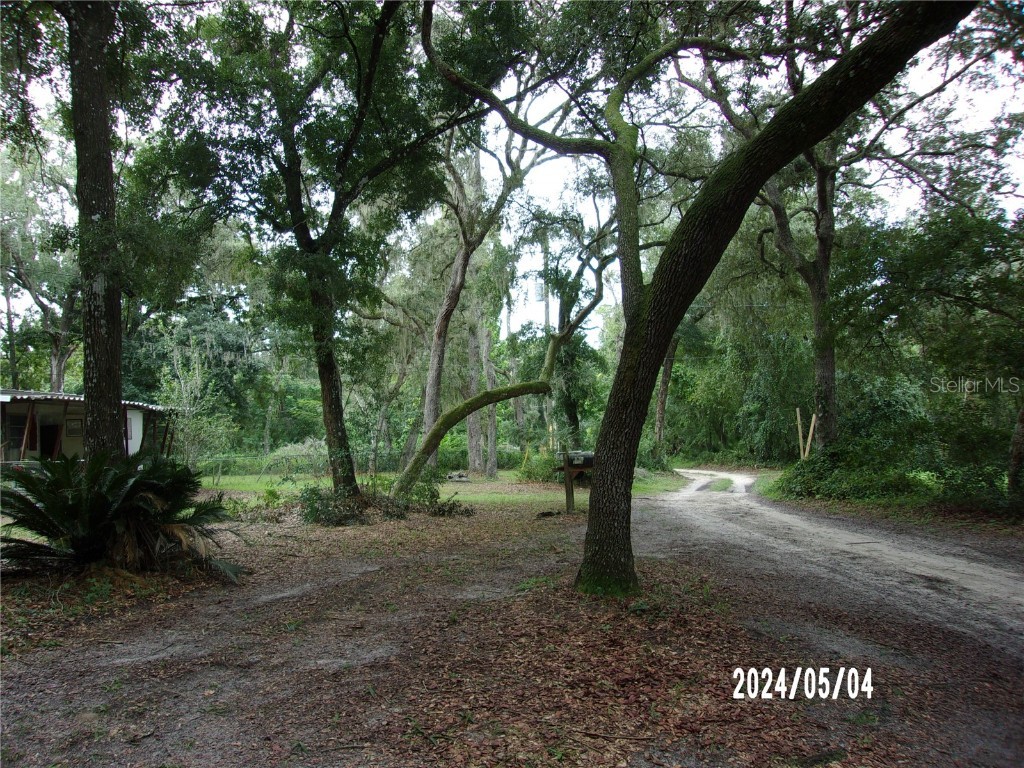 16964 NE 2nd Street Road Silver Springs FL 34488 OM685625 image3