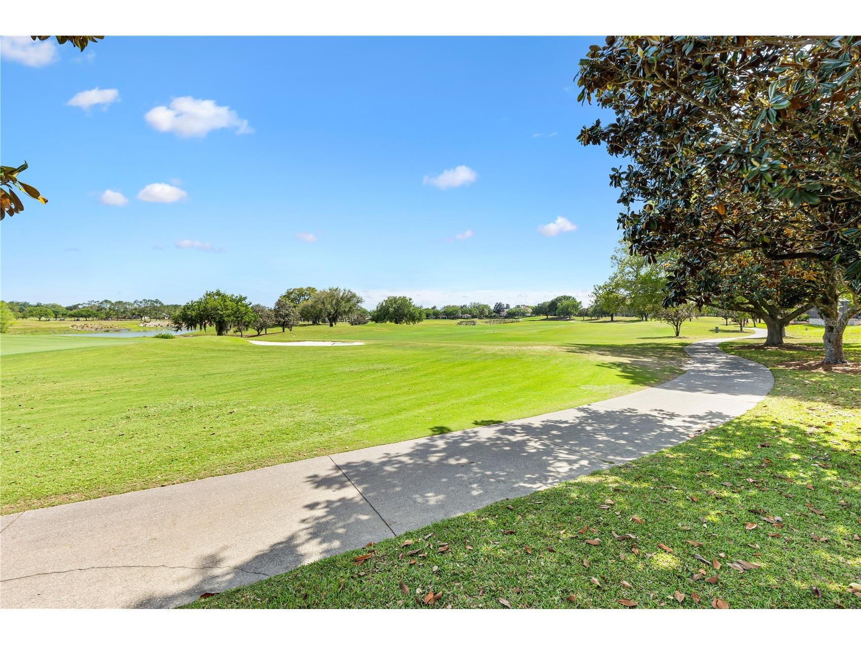 16967 SE 84th Colerain Circle The Villages FL 32162 G5111077 image33