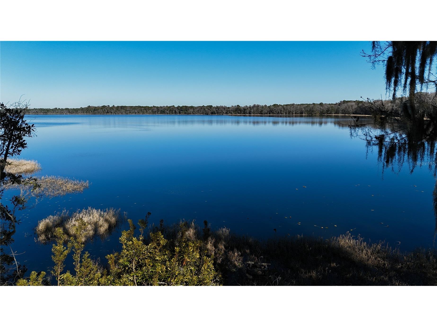 16970 NE 120th Avenue Waldo FL 32694 GC536731 image1
