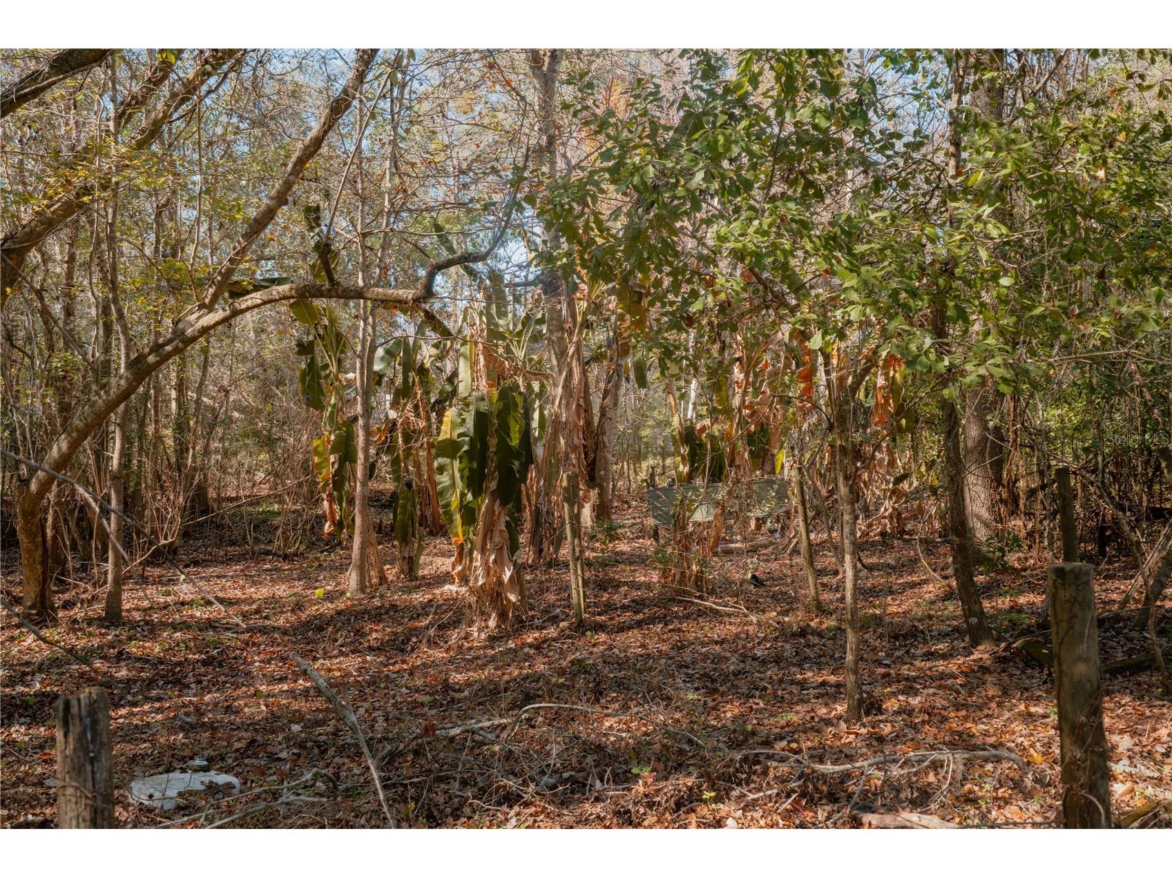 16970 NE 120th Avenue Waldo FL 32694 GC536731 image23