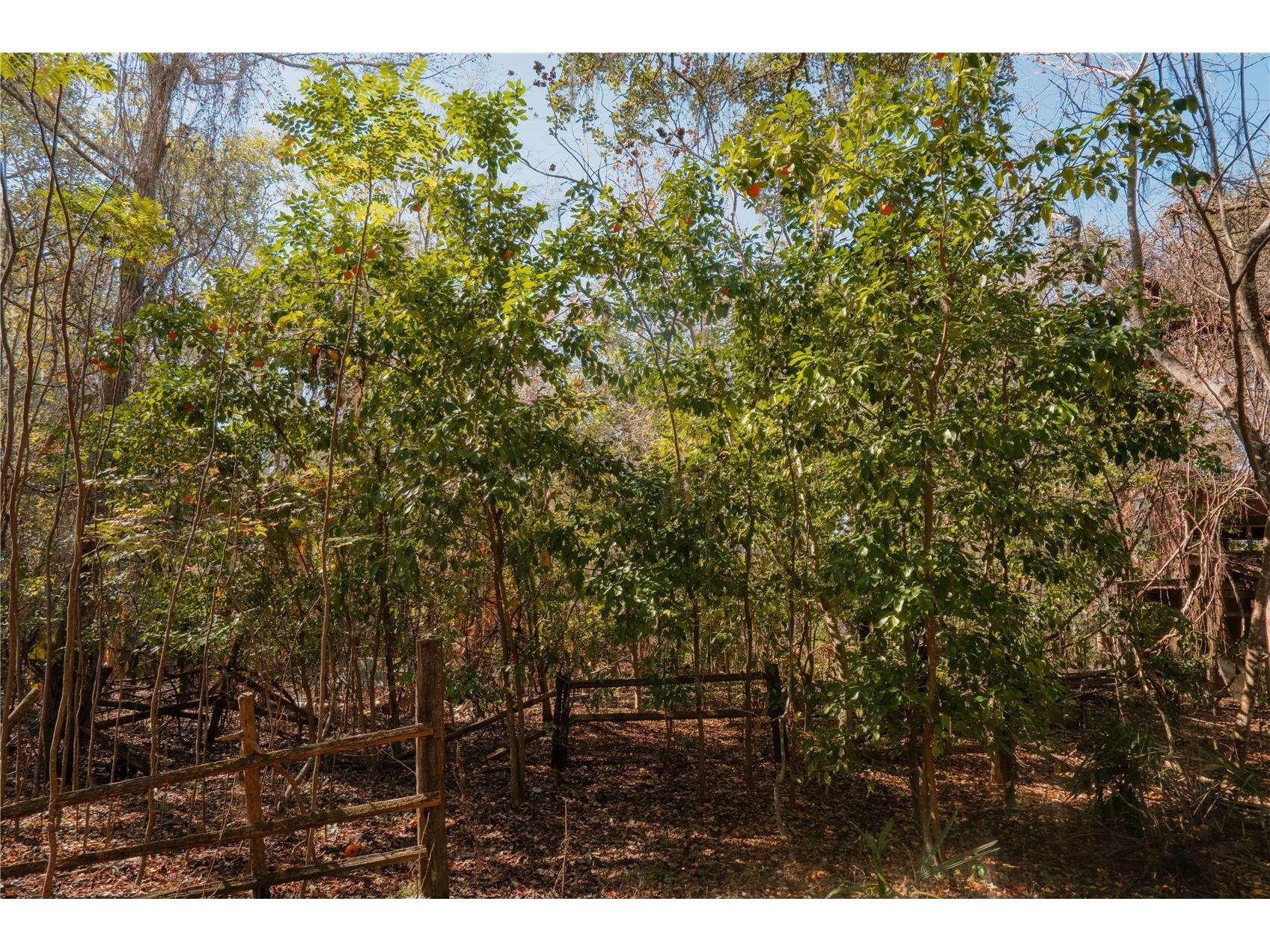 16970 NE 120th Avenue Waldo FL 32694 GC536731 image28