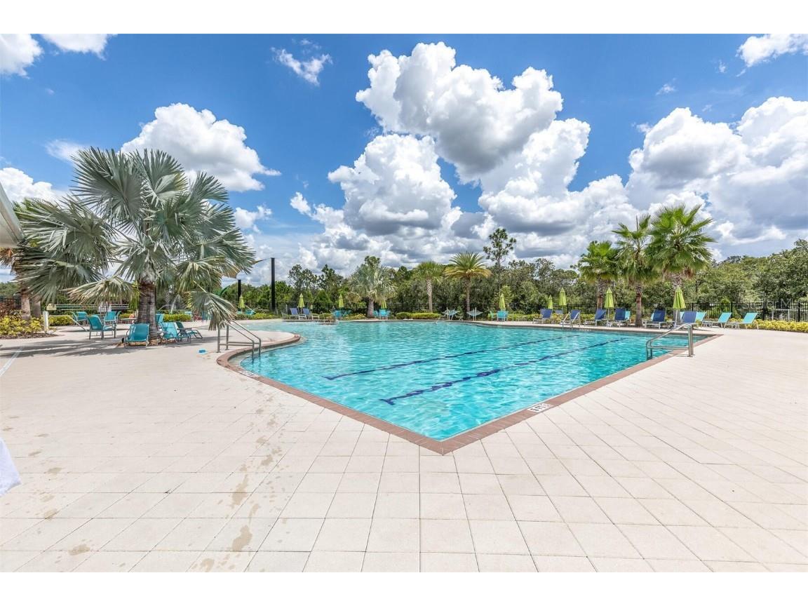 16972 Oval Rum Drive Wimauma FL 33598 TB8401458 image48