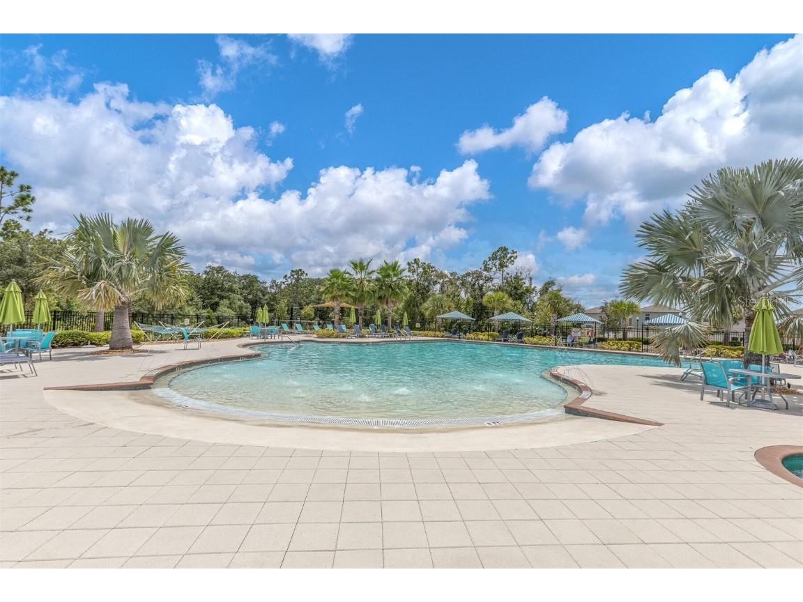 16972 Oval Rum Drive Wimauma FL 33598 TB8401458 image49