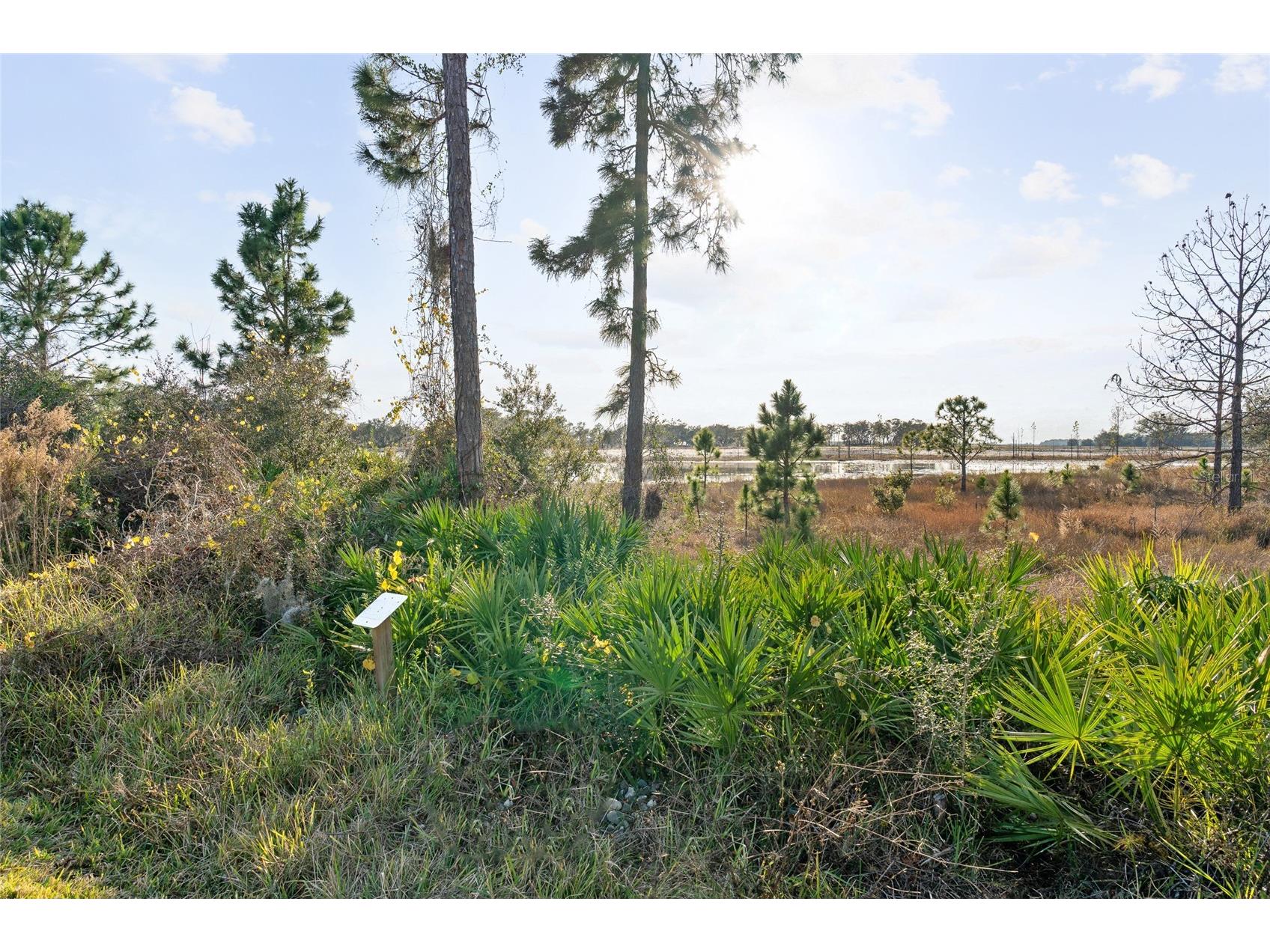 16975 Wingspread Loop Winter Garden FL 34787 O6376353 image58