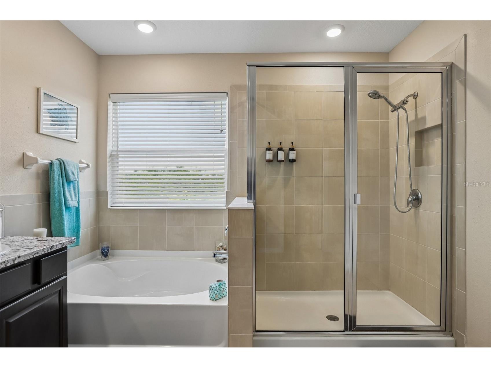 16976 Oval Rum Drive Wimauma FL 33598 TB8509573 image41