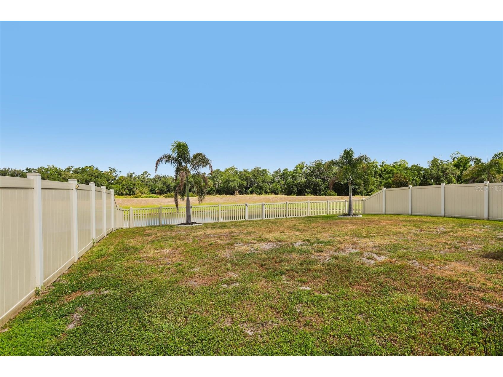 16976 Oval Rum Drive Wimauma FL 33598 TB8509573 image47
