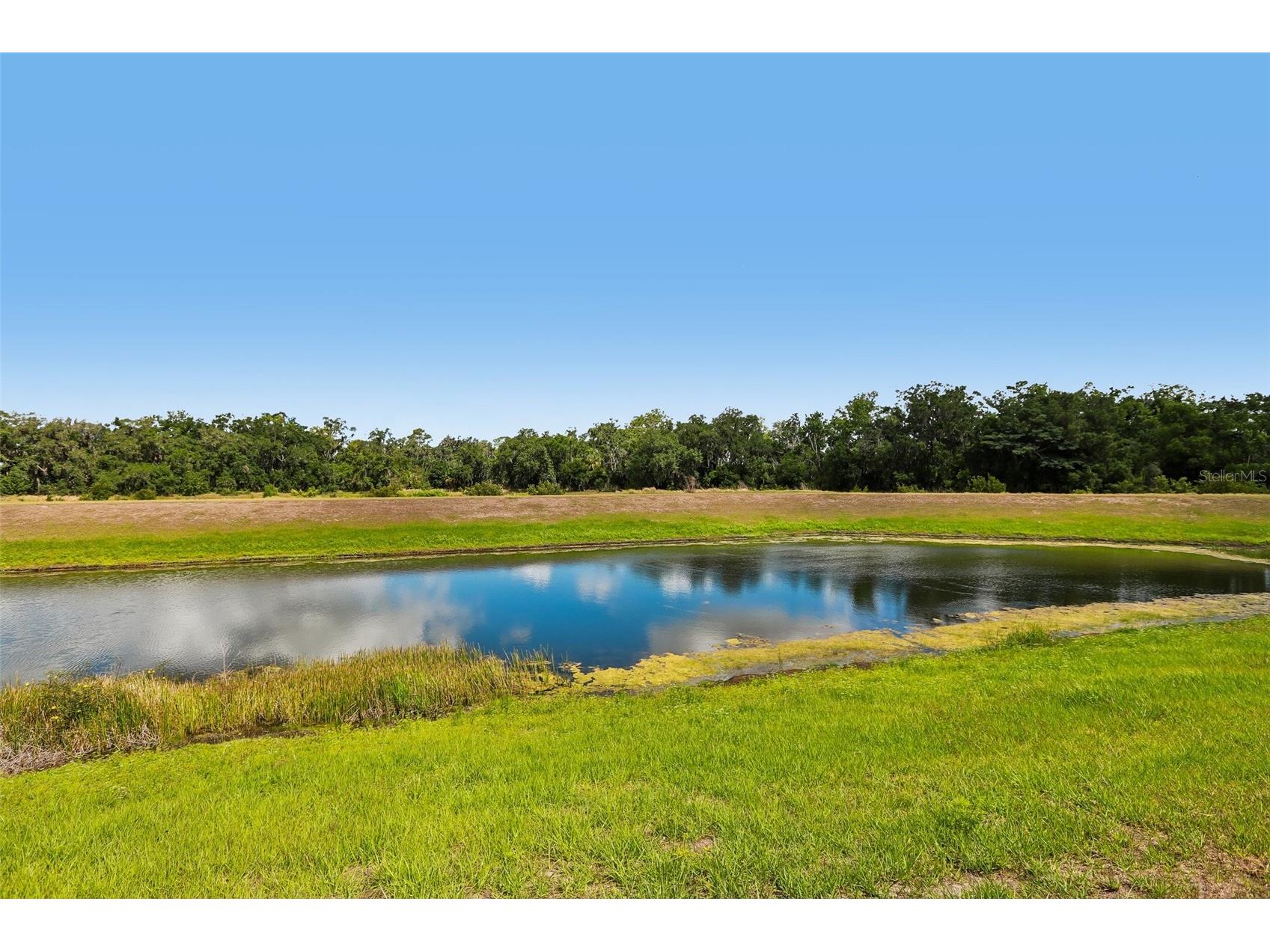 16976 Oval Rum Drive Wimauma FL 33598 TB8509573 image48