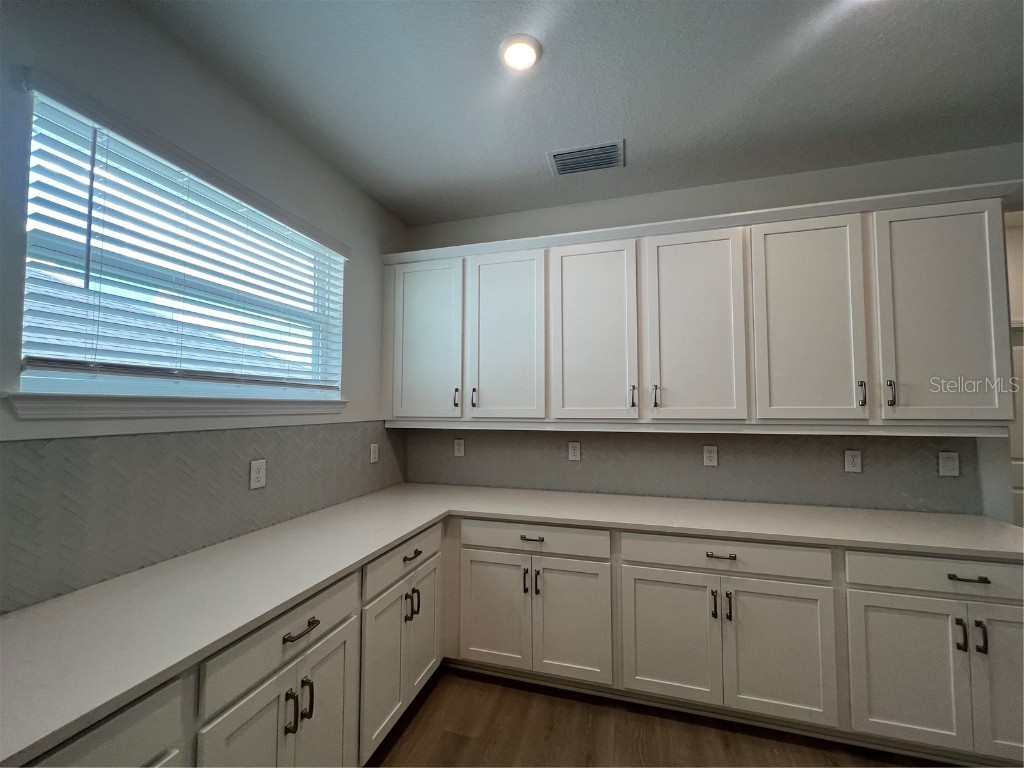 1698 Cadence Street Minneola FL 34715 G5101220 image9