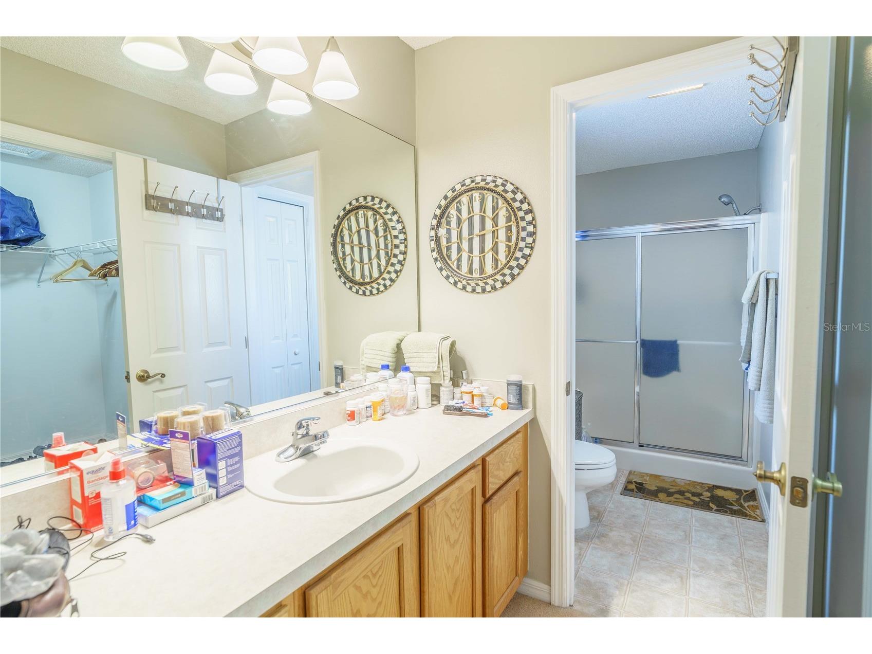 16980 SE 96th Chapelwood Circle The Villages FL 32162 OM722622 image12