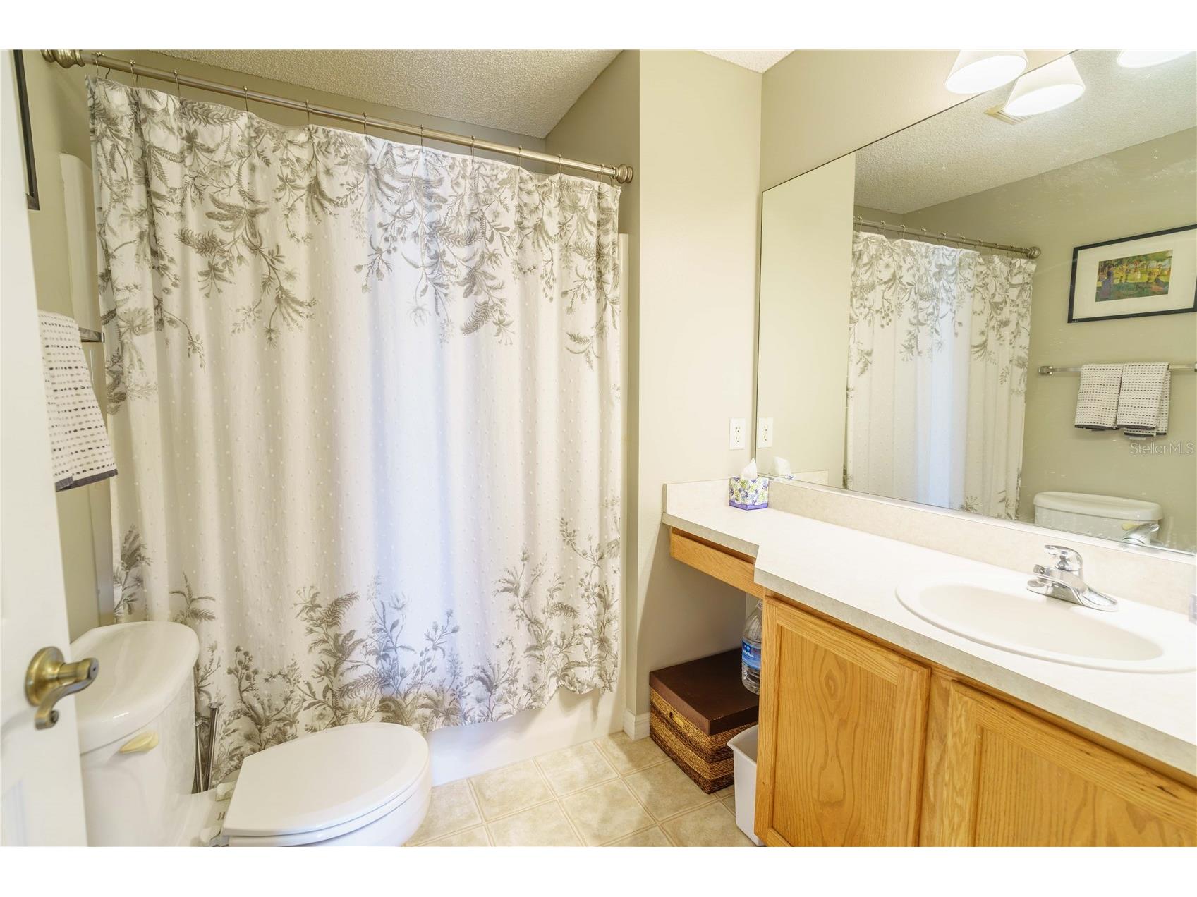 16980 SE 96th Chapelwood Circle The Villages FL 32162 OM722622 image17