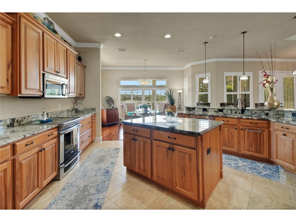 16982 SE Highway 42 Weirsdale FL 32195 G5099886 image21