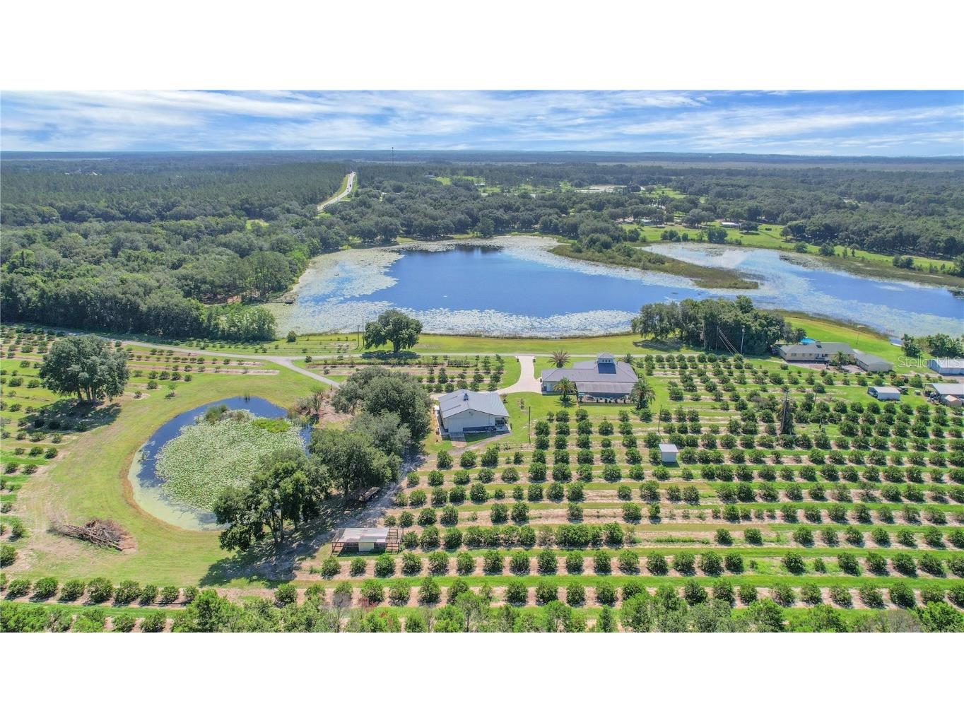 16982 SE Highway 42 Weirsdale FL 32195 G5099886 image5