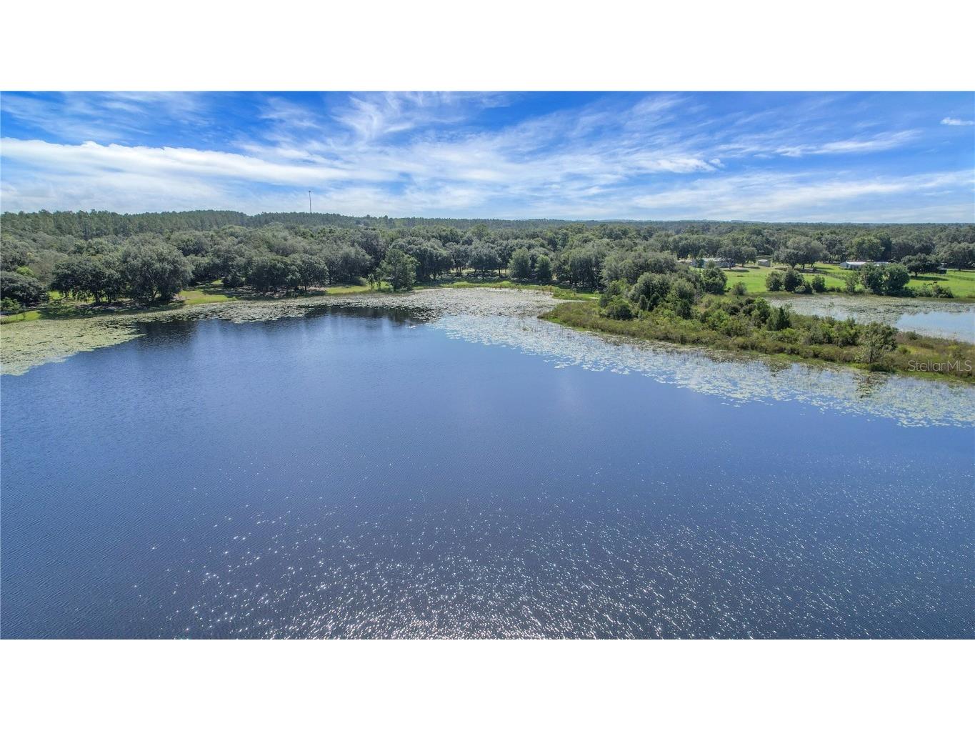 16982 SE Highway 42 Weirsdale FL 32195 G5099886 image6