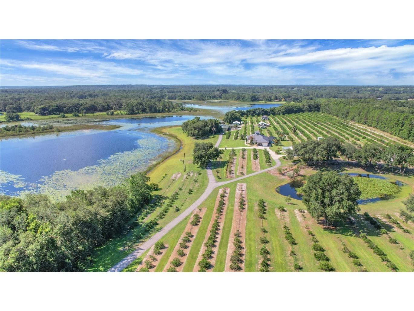 16982 SE Highway 42 Weirsdale FL 32195 G5099886 image73