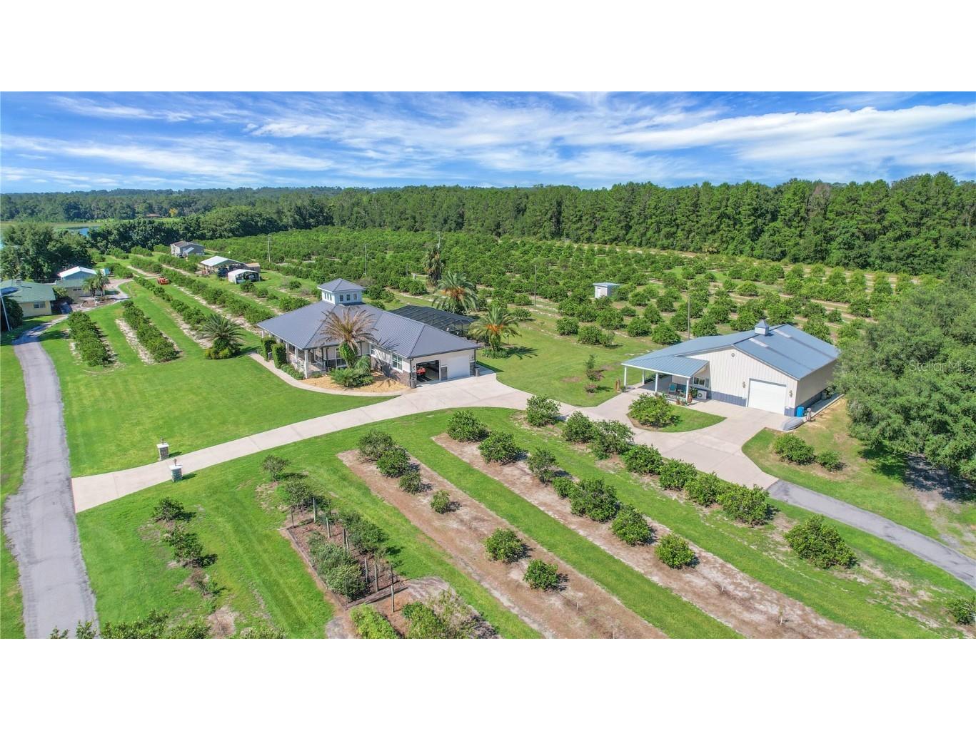 16982 SE Highway 42 Weirsdale FL 32195 G5099886 image74