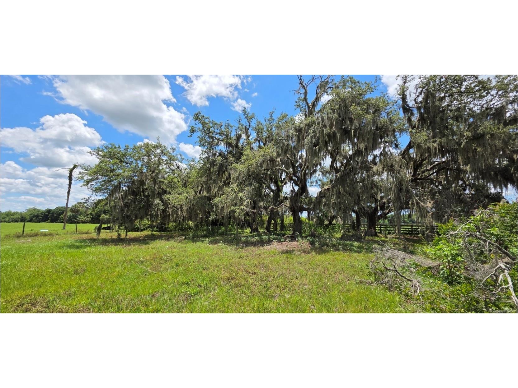 16984 NW 176th Avenue Okeechobee FL 34972 OK225206 image5