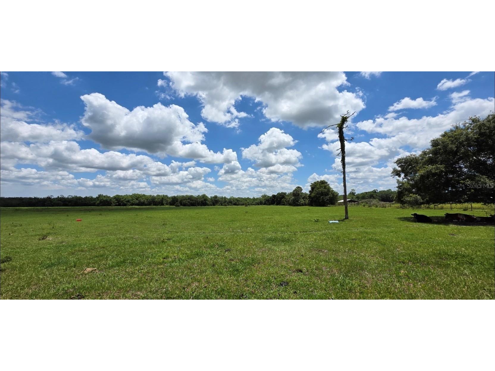 16984 NW 176th Avenue Okeechobee FL 34972 OK225206 image6