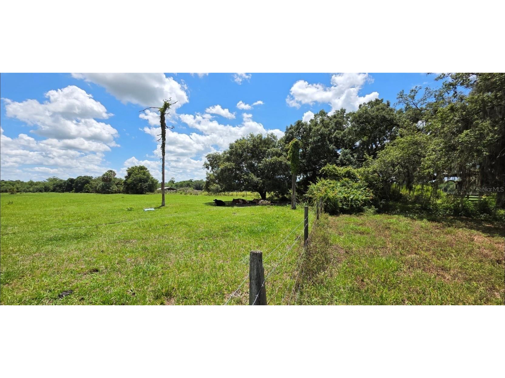 16984 NW 176th Avenue Okeechobee FL 34972 OK225206 image7