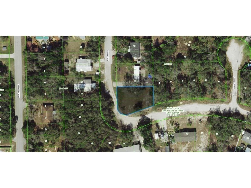 17-25-21-011.0-192.00-007 Hagar Drive New Port Richey FL 34654 A4694136 image1