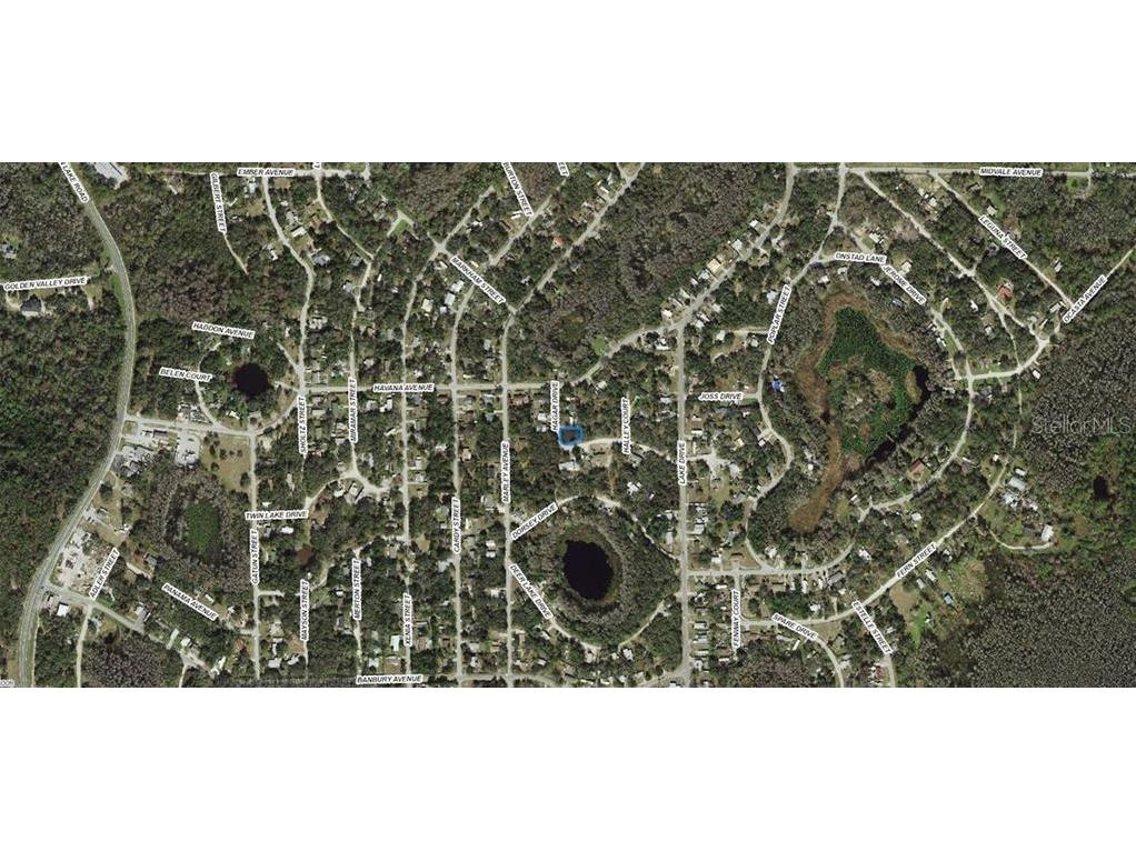 17-25-21-011.0-192.00-007 Hagar Drive New Port Richey FL 34654 A4694136 image2