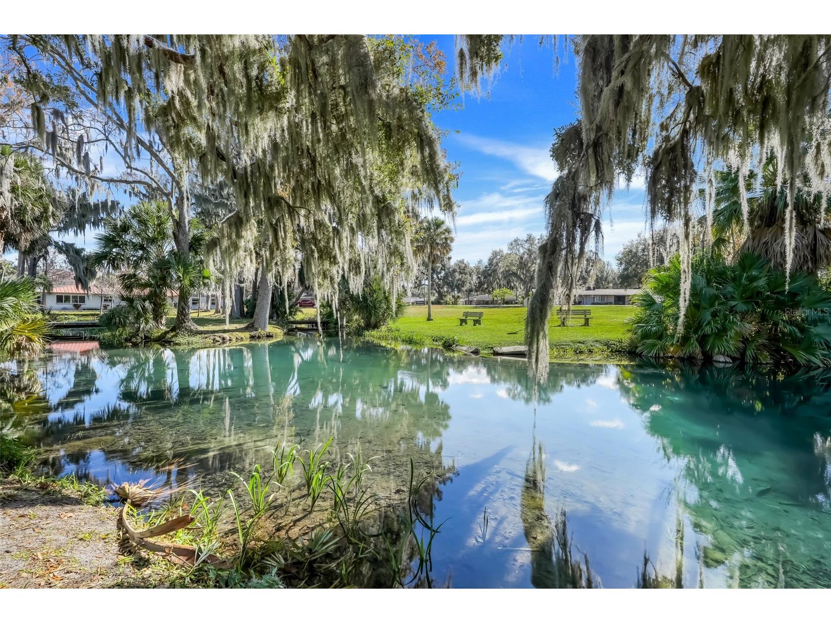 17 E Live Oak Avenue Yalaha FL 34797 - LAKE HARRIS G5107142 image46