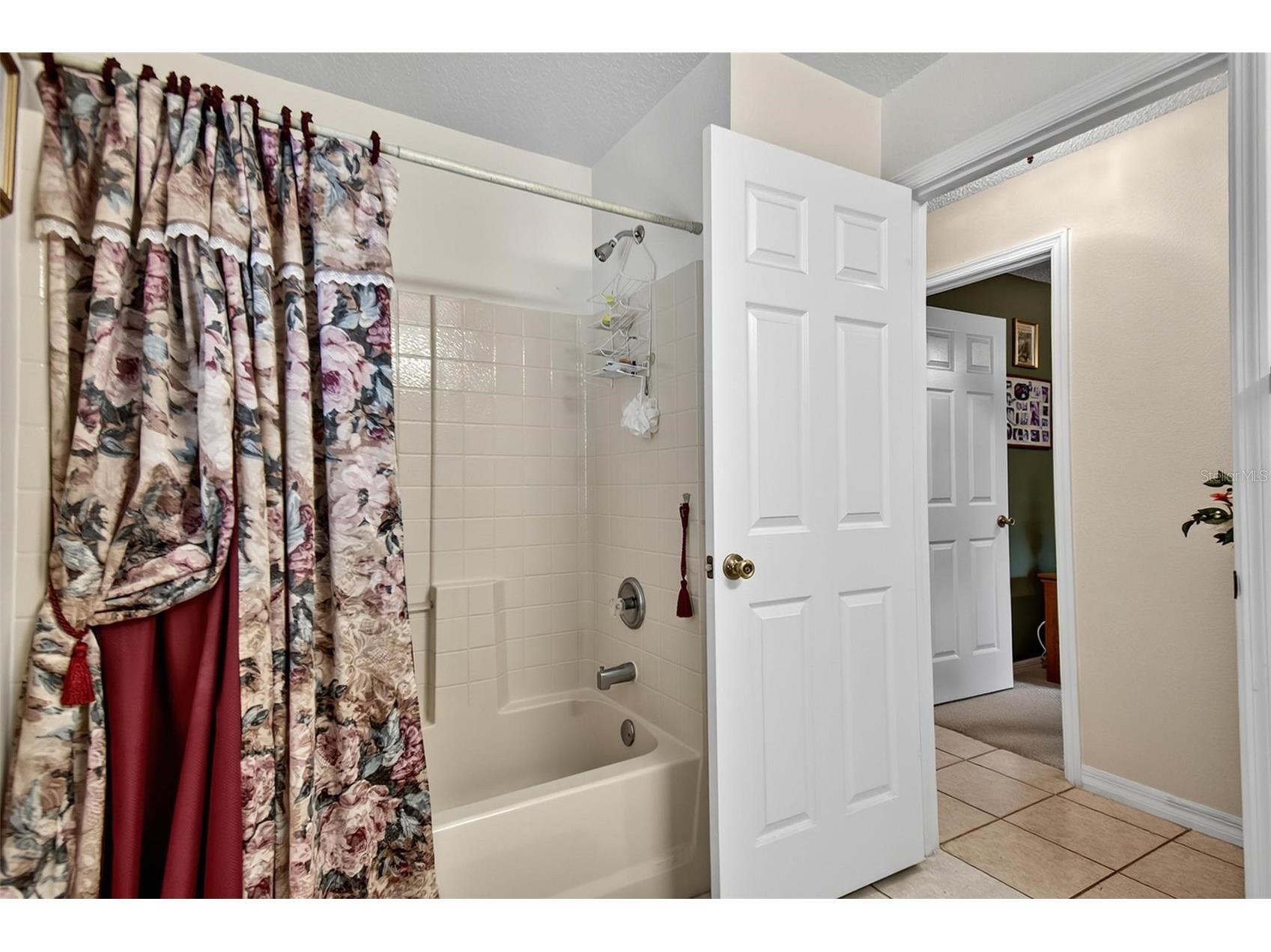 17 Ebb Tide Drive Palm Coast FL 32164 FC319048 image48