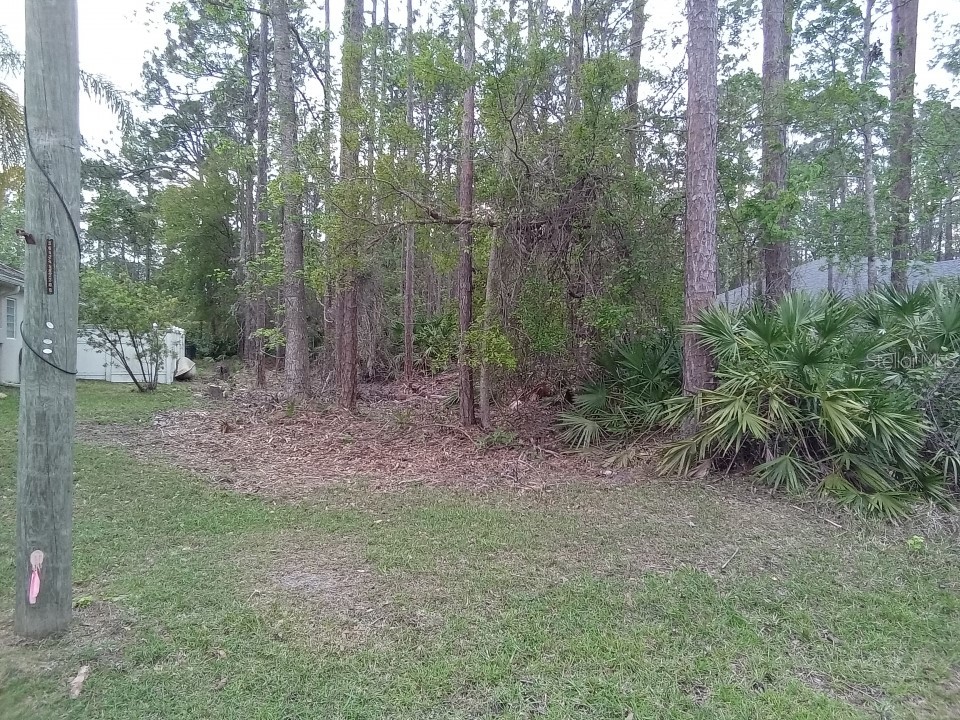 17 Edith Pope Drive Palm Coast FL 32164 O6099329 image1