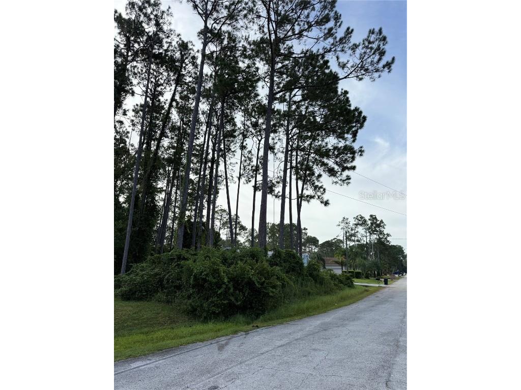 17 Egan Drive Palm Coast FL 32164 FC312903 image1