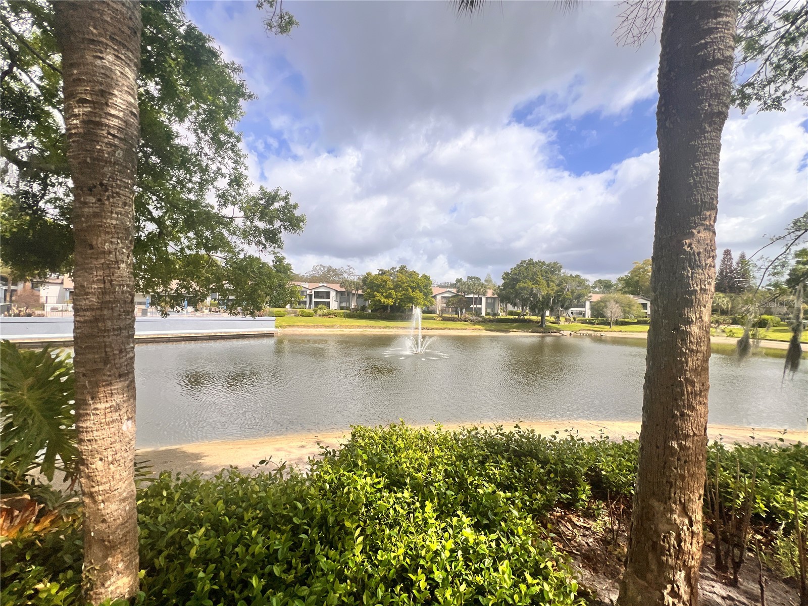 17 Escondido Circle #239 Altamonte Springs FL 32701 O6395187 image27