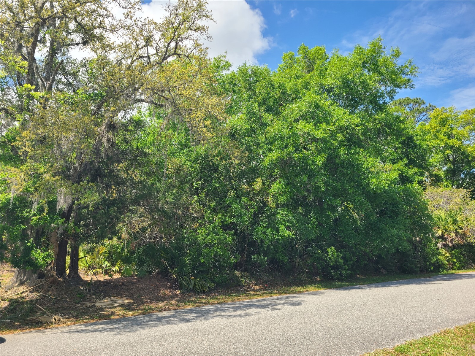 17 Farver Lane Palm Coast FL 32137 FC317948 image1