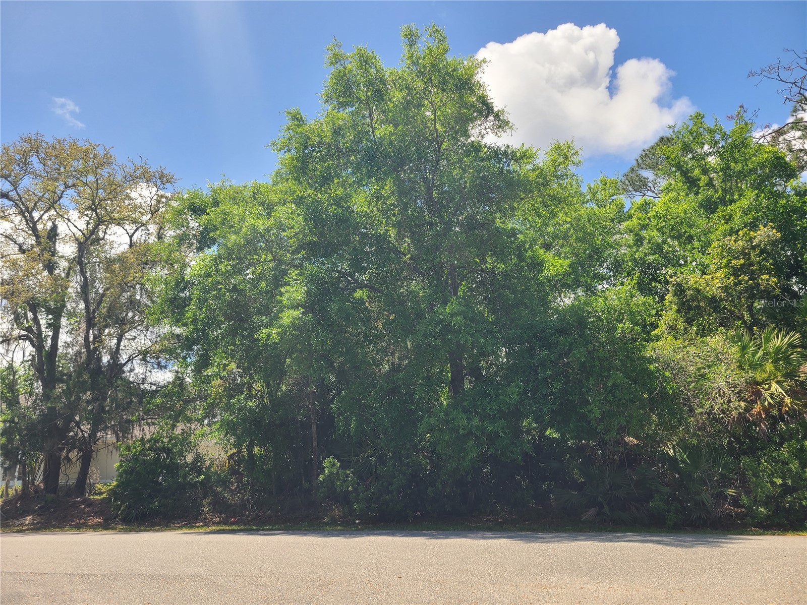 17 Farver Lane Palm Coast FL 32137 FC317948 image2