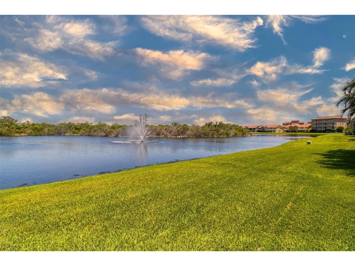 17 Franklin Court S #C Saint Petersburg FL 33711 TB8447840 image21